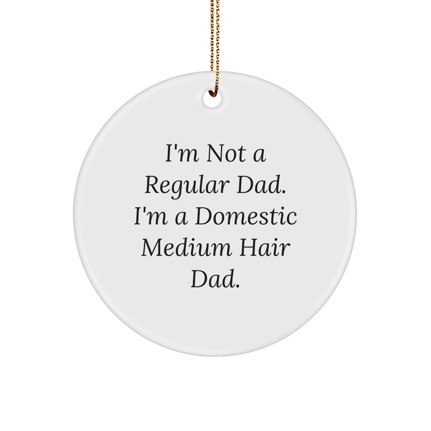 Funny Domestic Medium Hair Cat Circle Ornament Gifts from Men to Family for Christmas Unique Decorations - Image 1