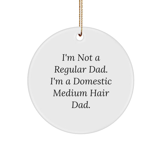 Funny Domestic Medium Hair Cat Circle Ornament Gifts from Men to Family for Christmas Unique Decorations - Image 1