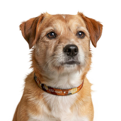 Personalized Fall Dog Collar – Custom Name & Phone Number