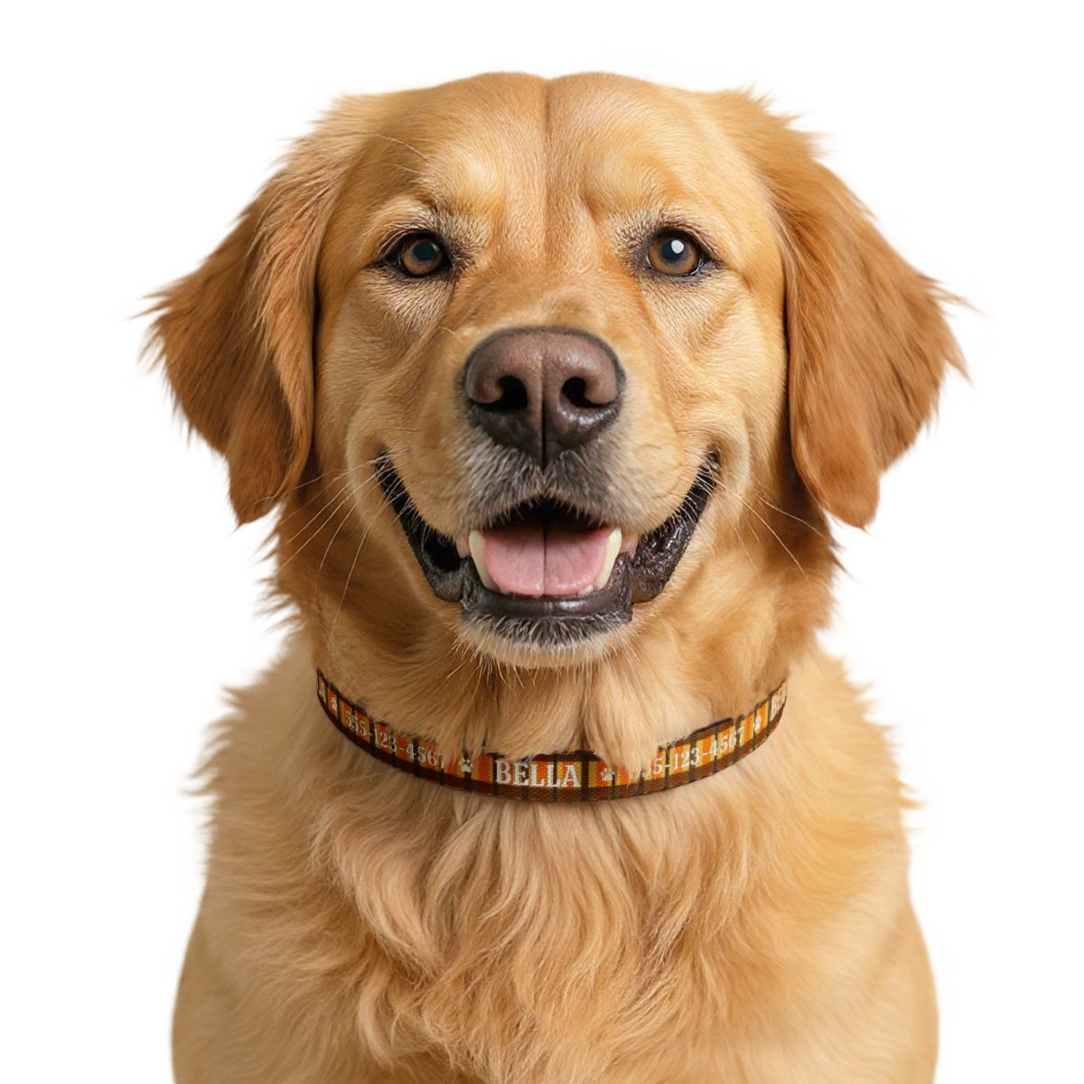 Personalized Fall Dog Collar – Custom Name & Phone Number