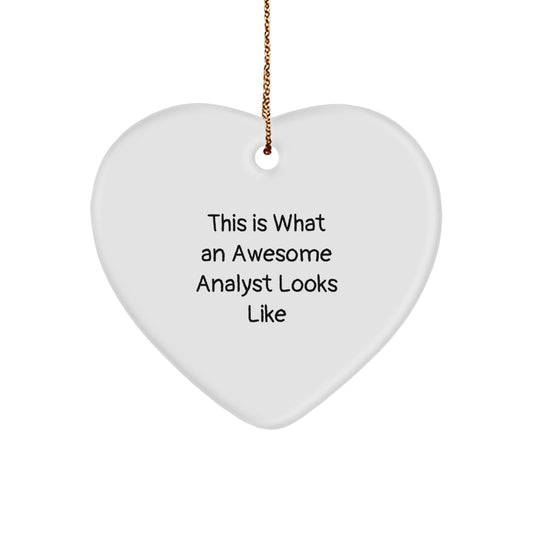 Funny Analyst Heart Ornament Gifts from Men to Women Coworkers Family Friends for Christmas Unique Office Decorations - Image 1