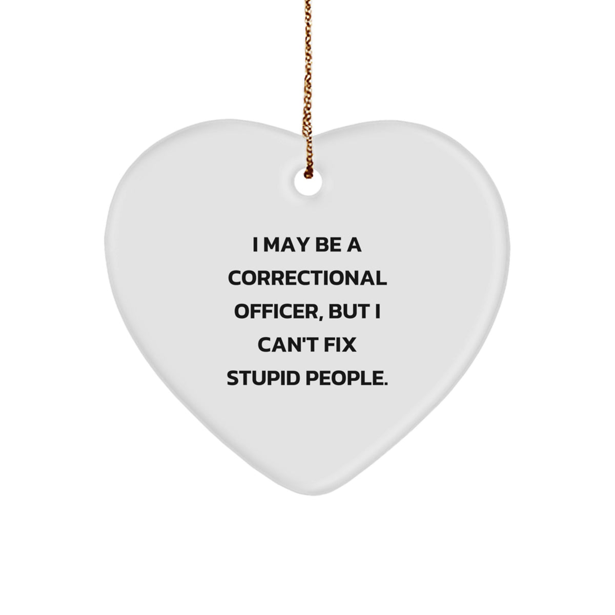 Funny Correctional Officer Gifts from Men, Gifts for Correctional Officer, Heart Ornament with I May Be A Correctional Officer, But I Can't Fix Stupid People., Christmas Unique Presents - Image 1