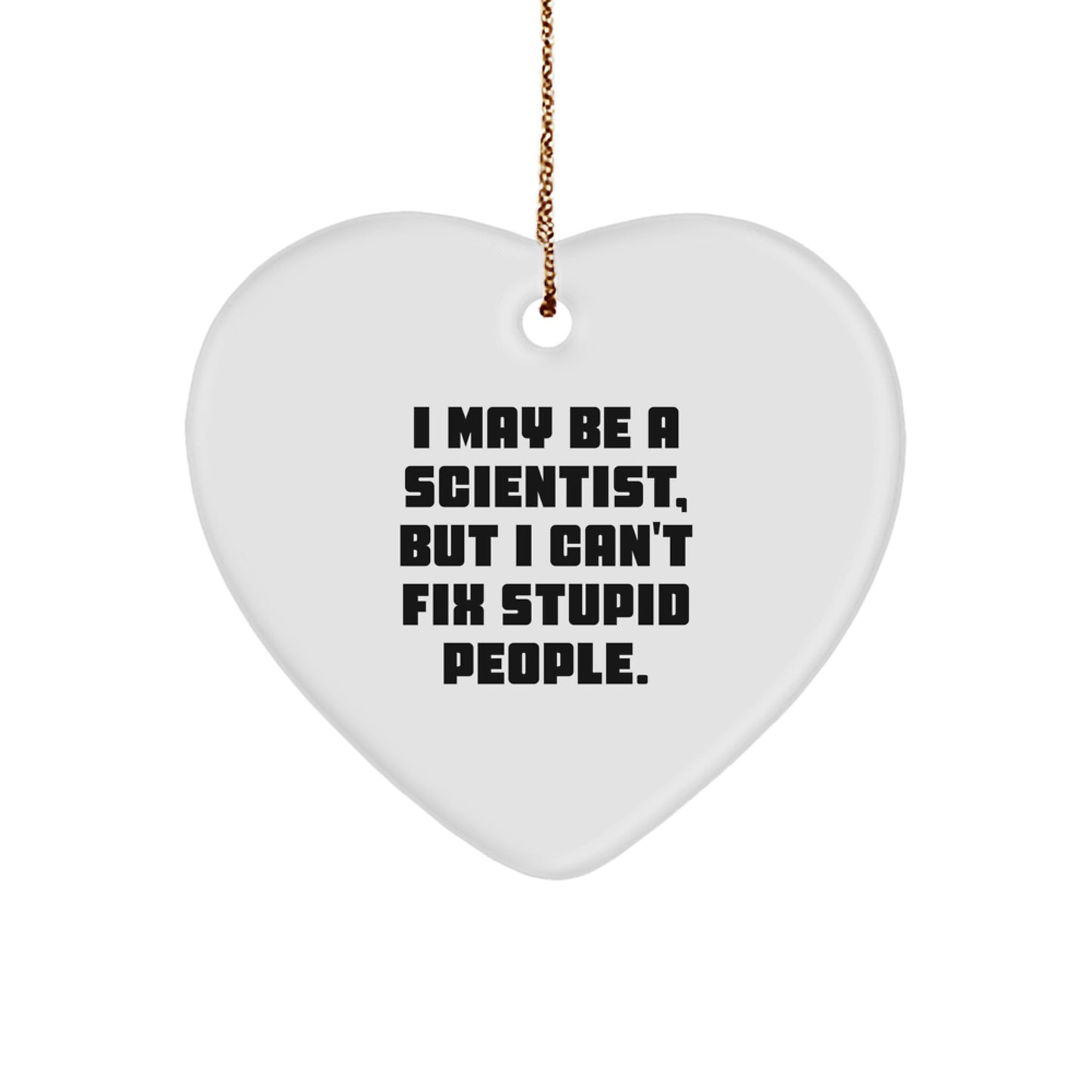Funny Scientist Gifts for Men from Friends - Heart Ornament I May Be A Scientist But I Can't Fix Stupid People, Christmas Unique Gifts - Image 1