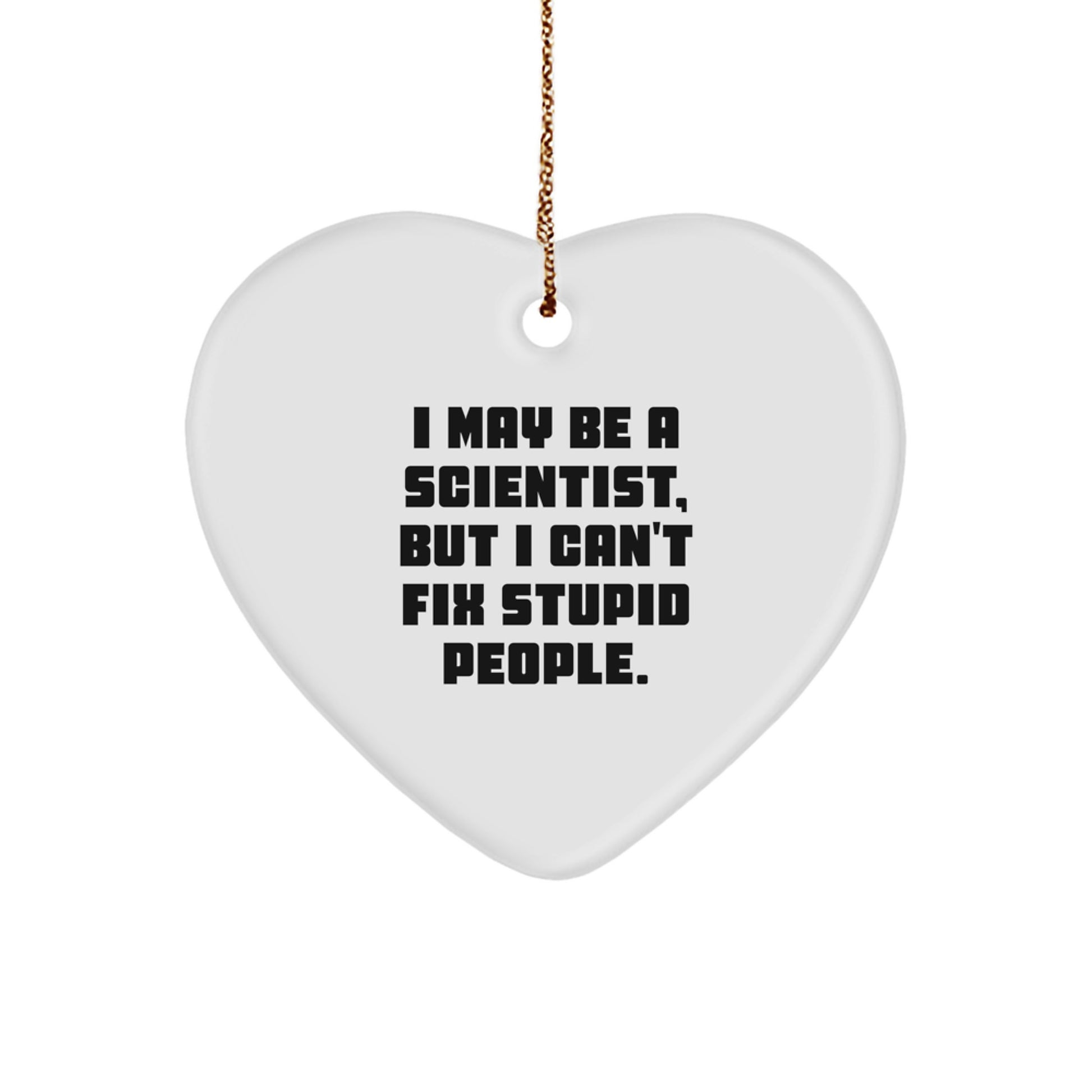 Funny Scientist Gifts for Men from Friends - Heart Ornament I May Be A Scientist But I Can't Fix Stupid People, Christmas Unique Gifts - Image 1