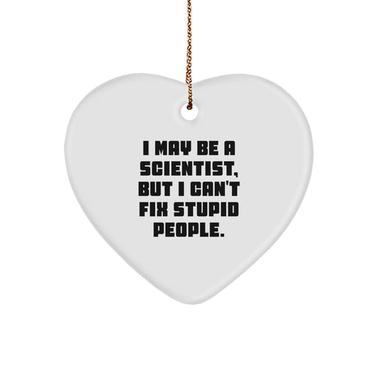 Funny Scientist Gifts for Men from Friends - Heart Ornament I May Be A Scientist But I Can't Fix Stupid People, Christmas Unique Gifts - Image 1