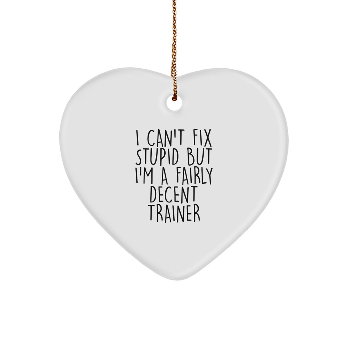 Funny Trainer Gifts from Friends, Heart Ornament for Christmas Unique Gifts for Trainer Men, I Can't Fix Stupid But I'm A Decent Trainer - Image 1
