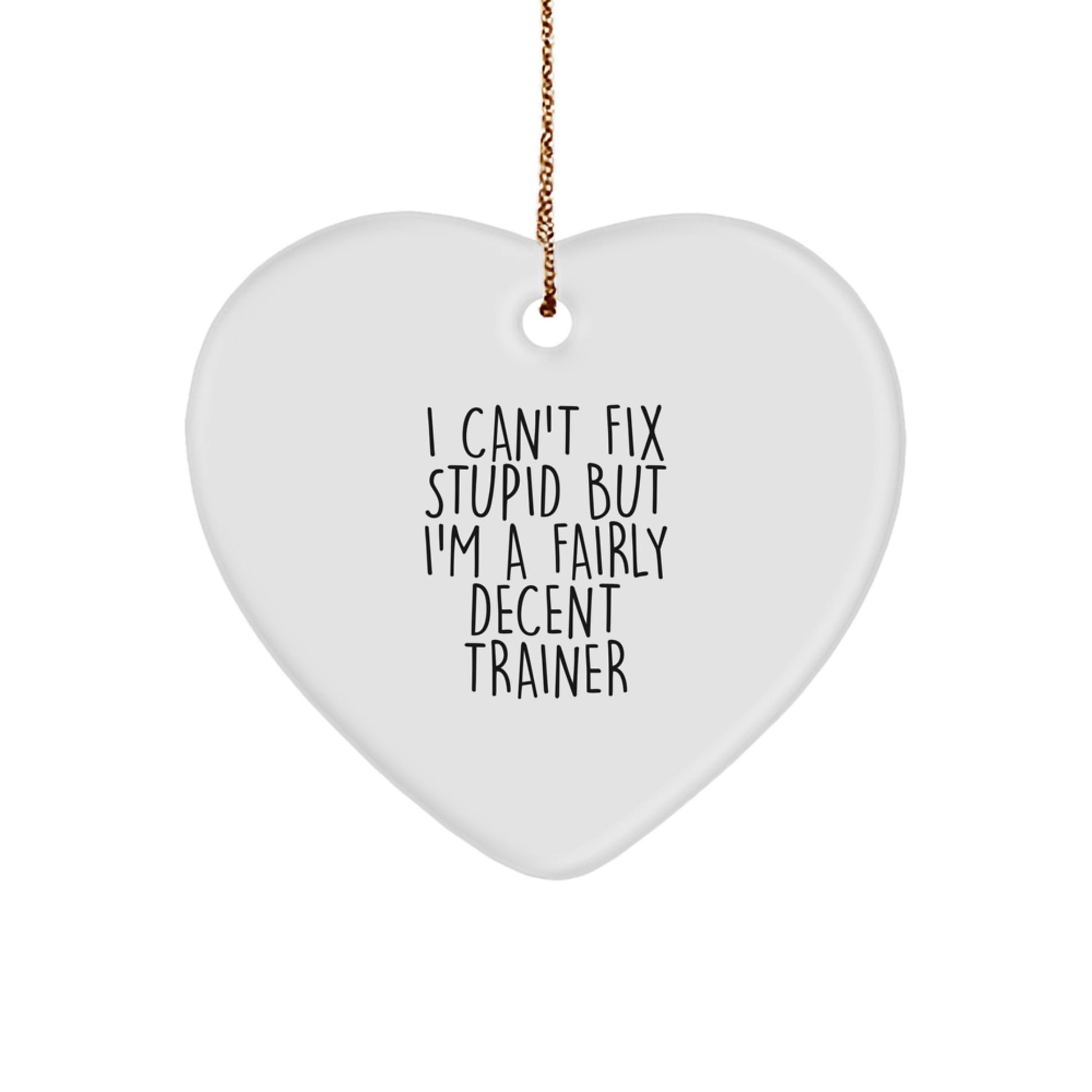 Funny Trainer Gifts from Friends, Heart Ornament for Christmas Unique Gifts for Trainer Men, I Can't Fix Stupid But I'm A Decent Trainer - Image 1