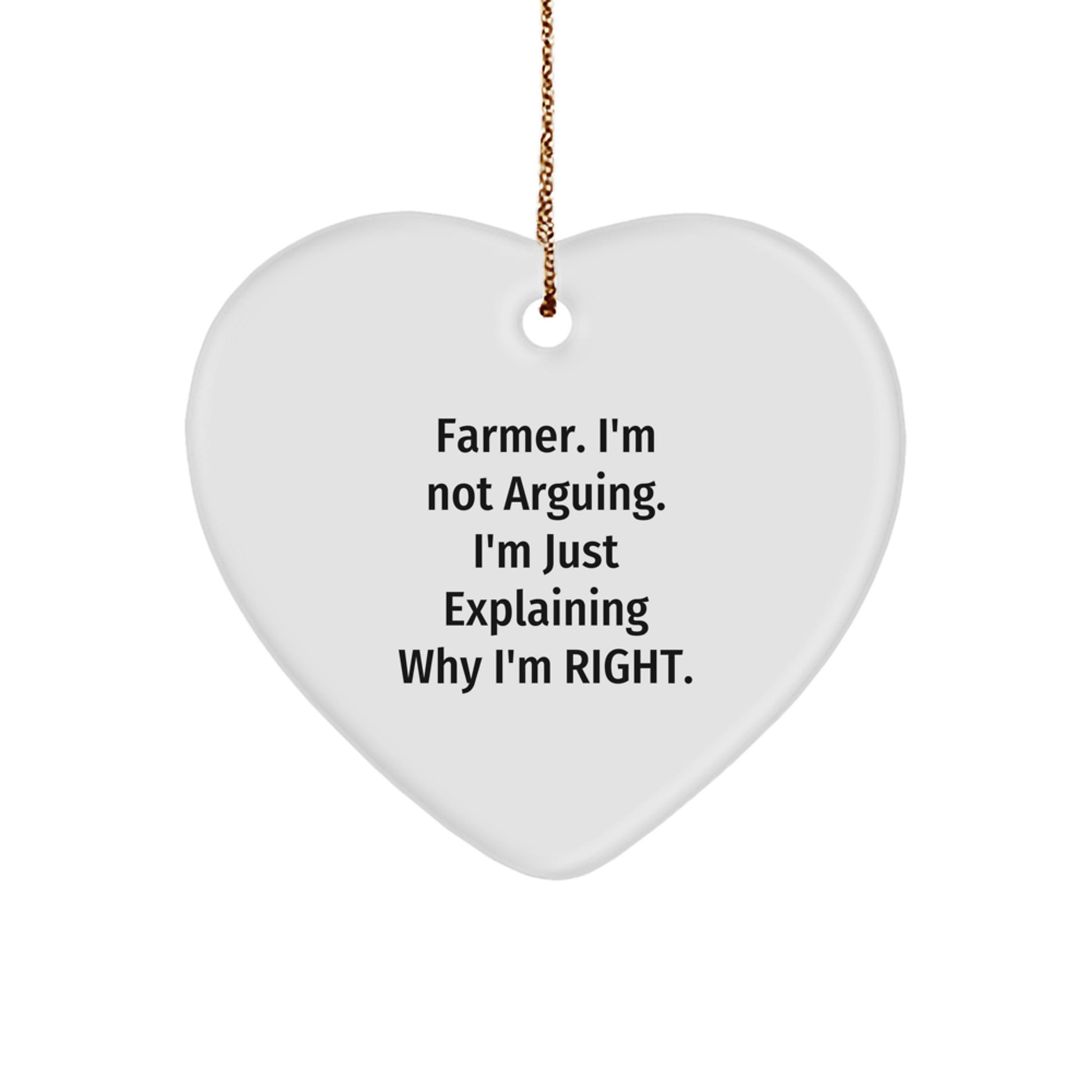 Funny Farmer Gifts, Farmer Christmas Unique Ornaments, Heart Shaped, Gifts from Family to Farmer, Gifts for Farmer, 'I'm Not Arguing. I'm Just Explaining Why I'm Right.' - Image 1