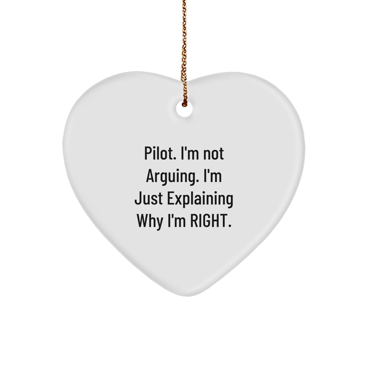Funny Pilot Gifts from Family - Heart Ornament, Inspirational Pilot Christmas Unique Gifts for Men - Image 1