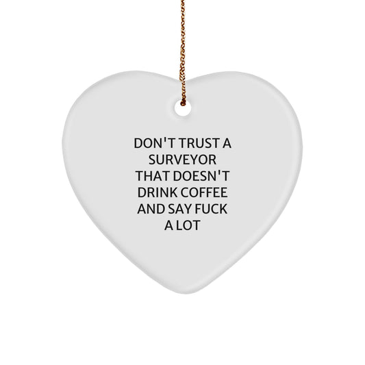 Funny Gift for Surveyor, Heart Ornament, Christmas Unique Gifts from Friends, Gifts for Surveyor, Surveyor Humor, Heart Shaped Ornament - Image 1