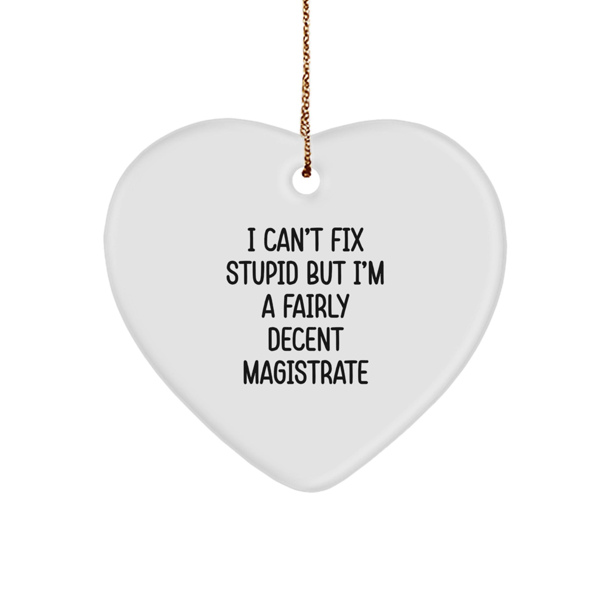 Funny Magistrate Gifts for Friends Family Men Women - Heart Ornament 'I Can't Fix Stupid' - Image 1
