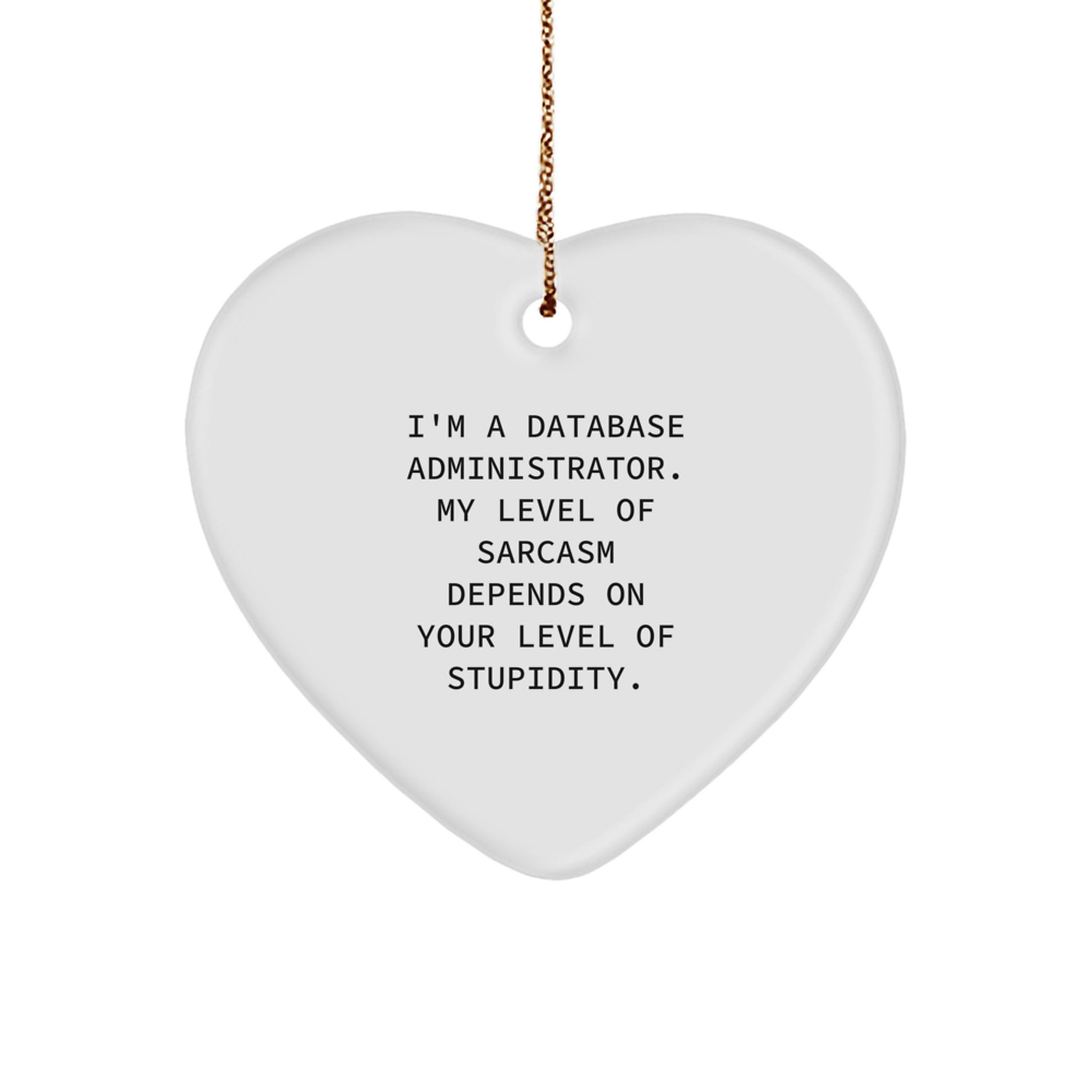 Funny Database Administrator Gifts, Heart Ornament with Sarcasm Quote, Gifts from Friends to Coworkers, Christmas Unique Gifts for Men - Image 1
