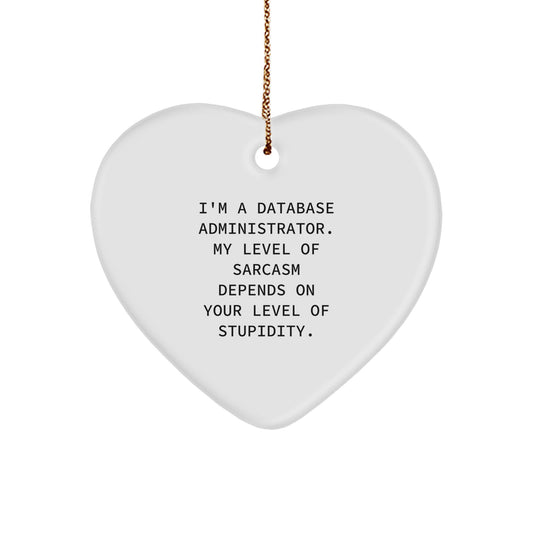 Funny Database Administrator Gifts, Heart Ornament with Sarcasm Quote, Gifts from Friends to Coworkers, Christmas Unique Gifts for Men - Image 1