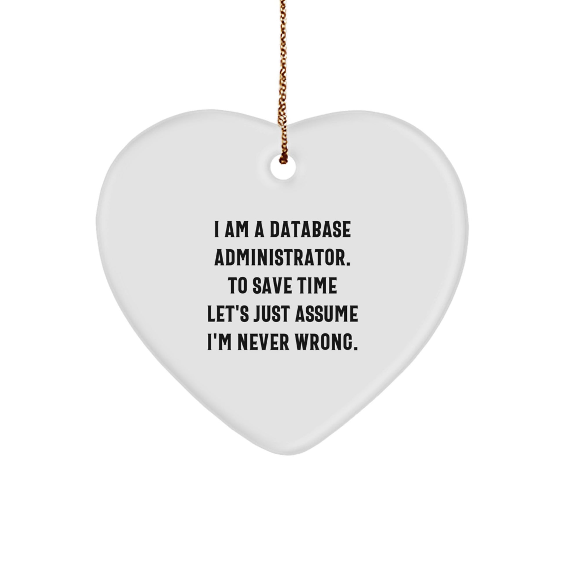 Funny Database Administrator Heart Ornament Gifts from Friends for Christmas - Gifts for Database Administrator - Image 1