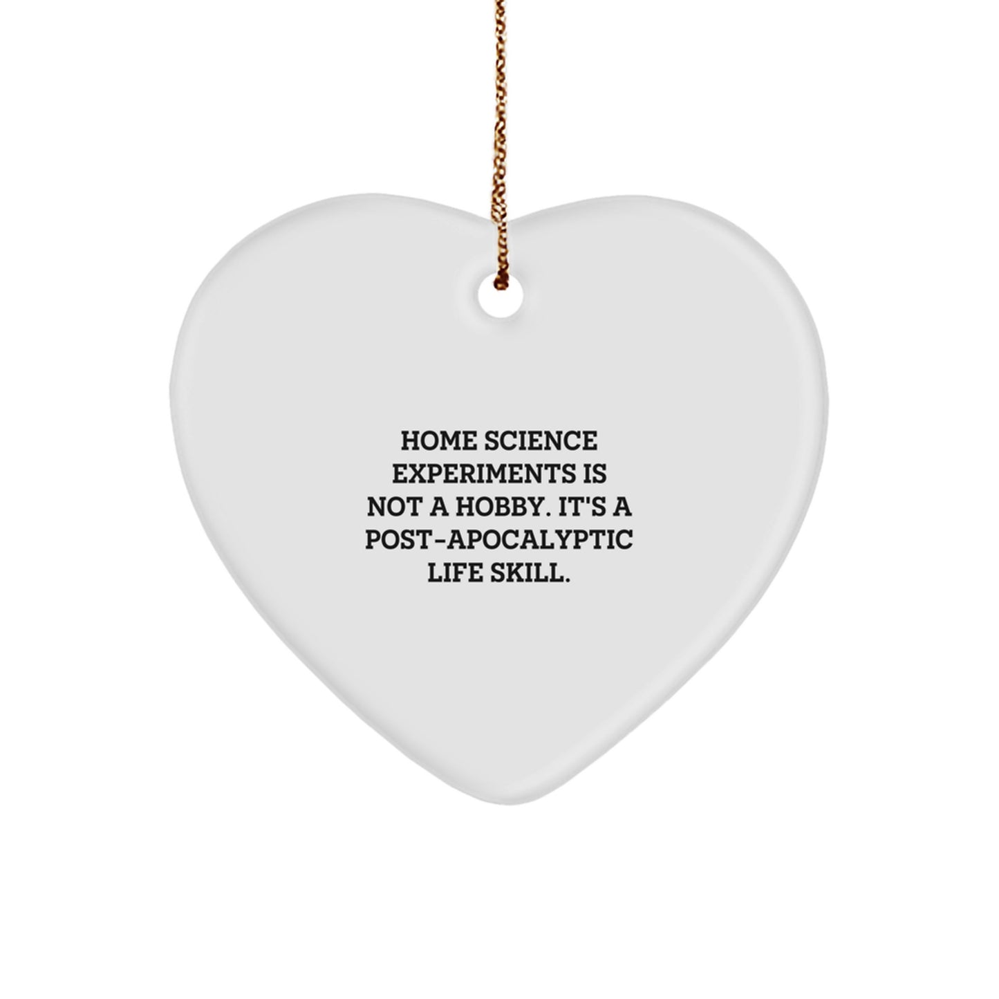 Home Science Experiments Gifts for Women from Men - Funny Heart Ornament for Christmas Unique Gifts - Image 1