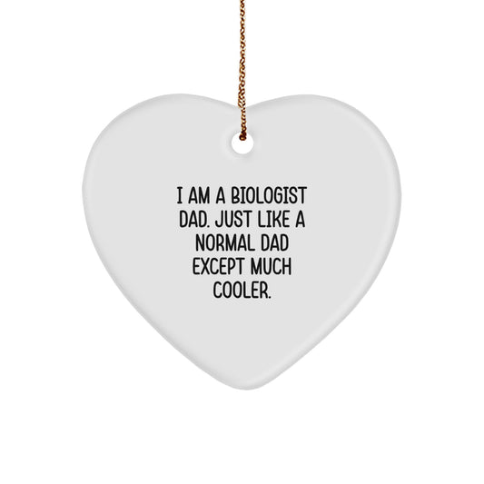 Biologist Dad Gifts, Funny Heart Ornament for Dad, Christmas Unique Gifts from Family, Heart Shaped Ornament for Men - Image 1