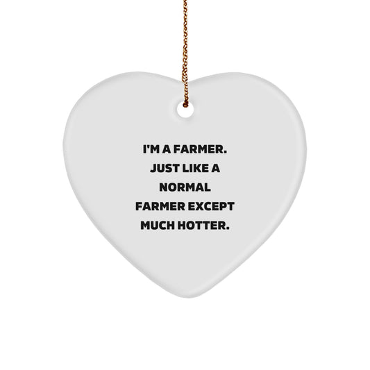 Funny Farmer Heart Ornament Gifts from Men to Friends for Christmas - Image 1