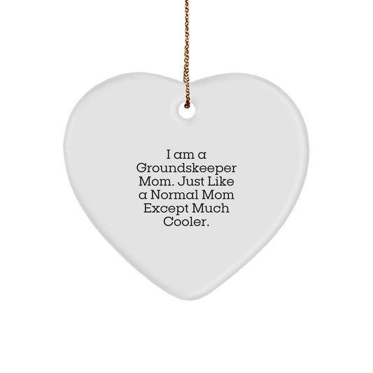 Funny groundskeeper Mom Gifts from Friends Christmas Unique Ornaments for groundskeeper Women - Image 1