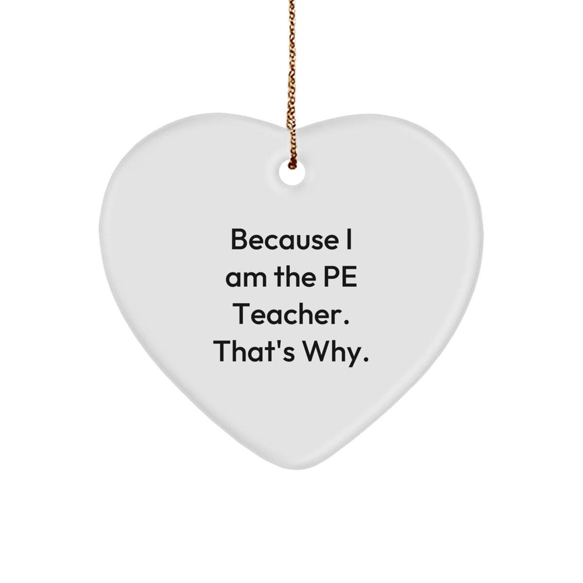 Bold PE Teacher Christmas Ornament Memento for Roommates Gift - Image 1