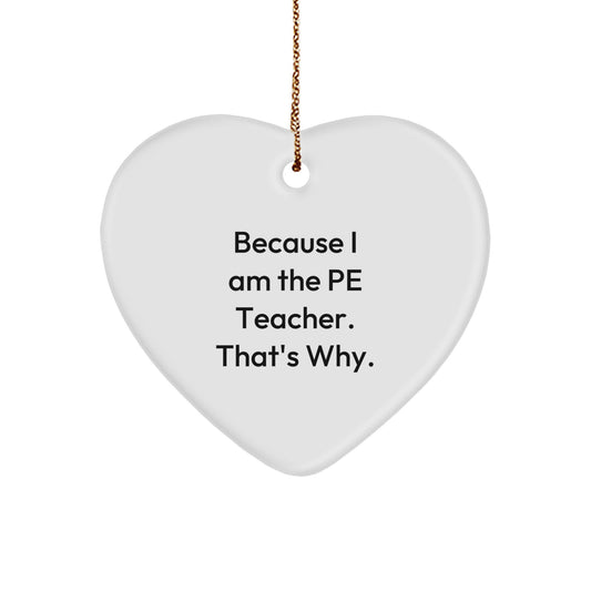 Bold PE Teacher Christmas Ornament Memento for Roommates Gift - Image 1