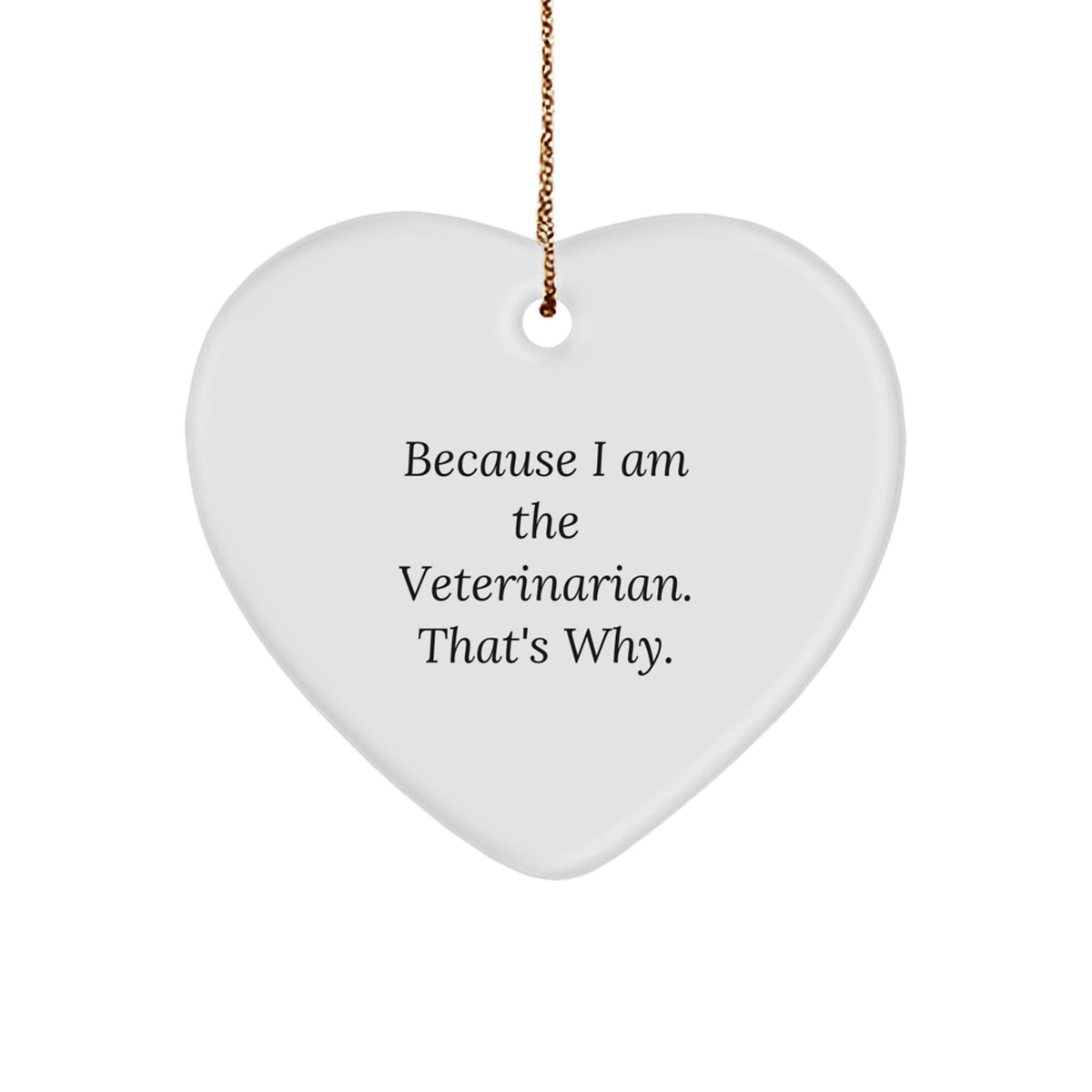 Veterinarian Heart Ornament Christmas Gift for a Best Friend Companion - Image 1