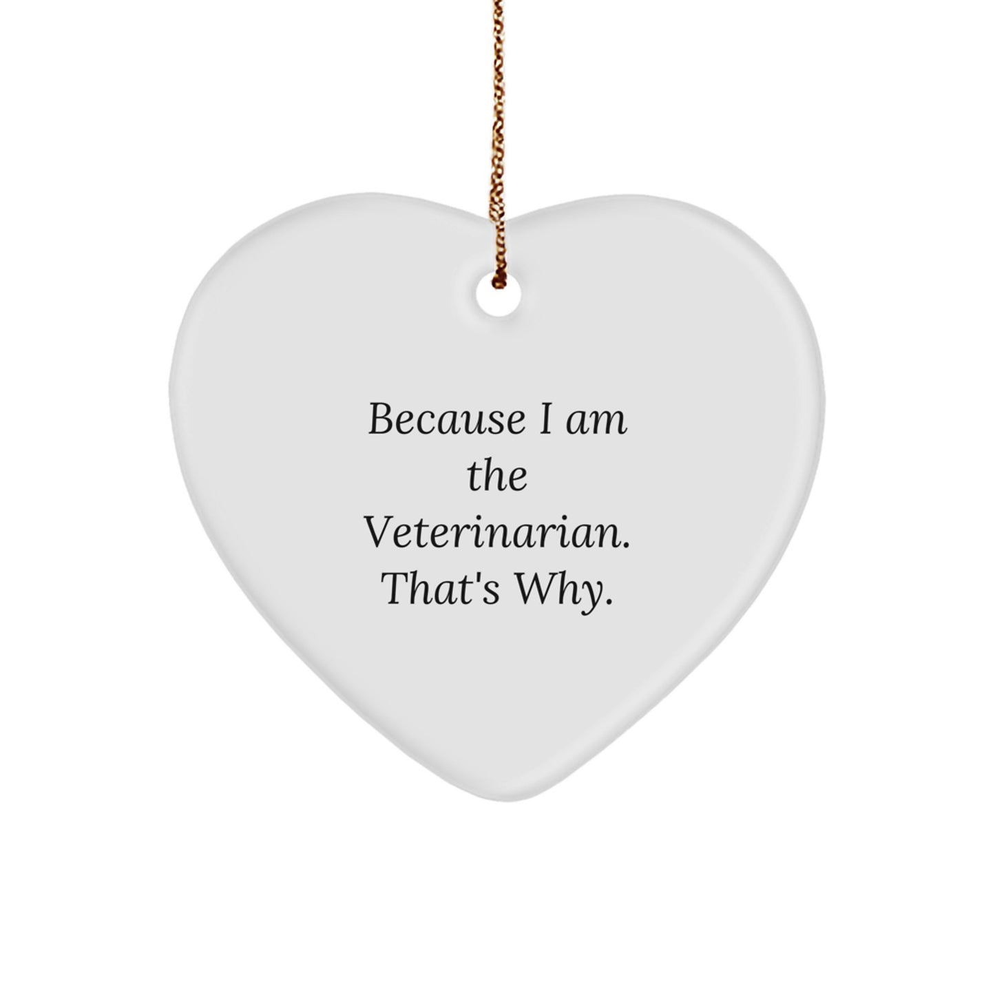 Veterinarian Heart Ornament Christmas Gift for a Best Friend Companion - Image 1