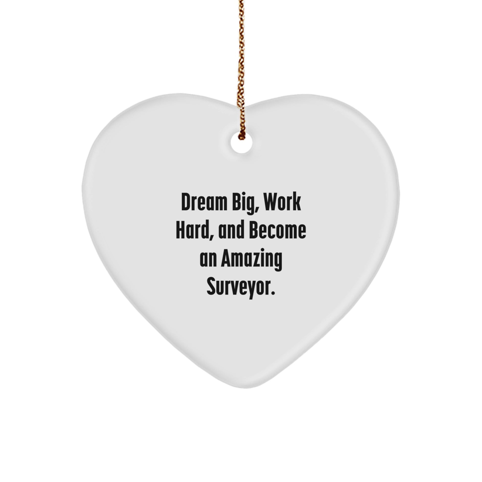 Funny Surveyor Heart Ornament Gifts from Friends for Men - Dream Big, Work Hard - Image 1
