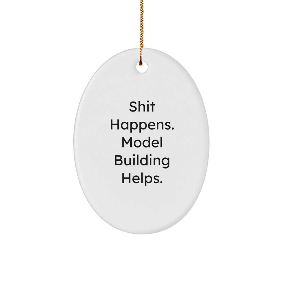 Funny Model Building Gifts for Christmas - Oval Ornament from Friends - Image 1
