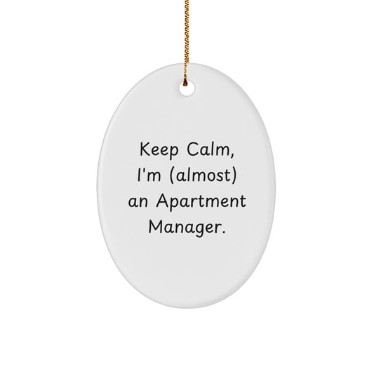 Calm Apartment Manager Christmas Ornament Gift for Friends - Image 1