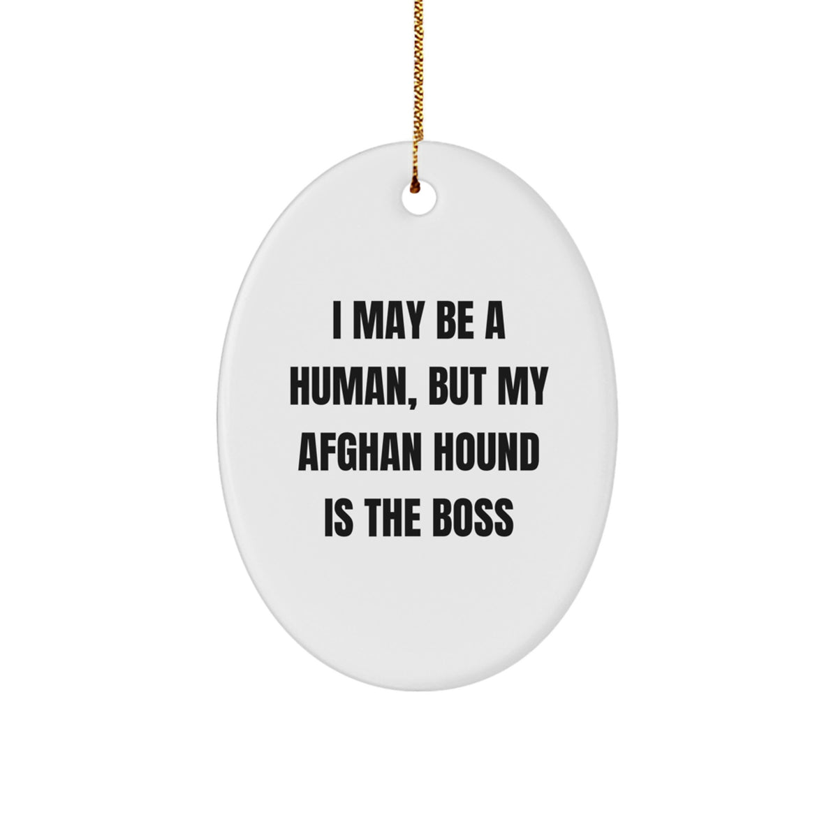 Funny Afghan Hound Dog Gifts from Family, Gifts for Afghan Hound Dog Lovers at Christmas - Oval Ornament, I May Be A Human, But My Afghan Hound Is The Boss - Image 1
