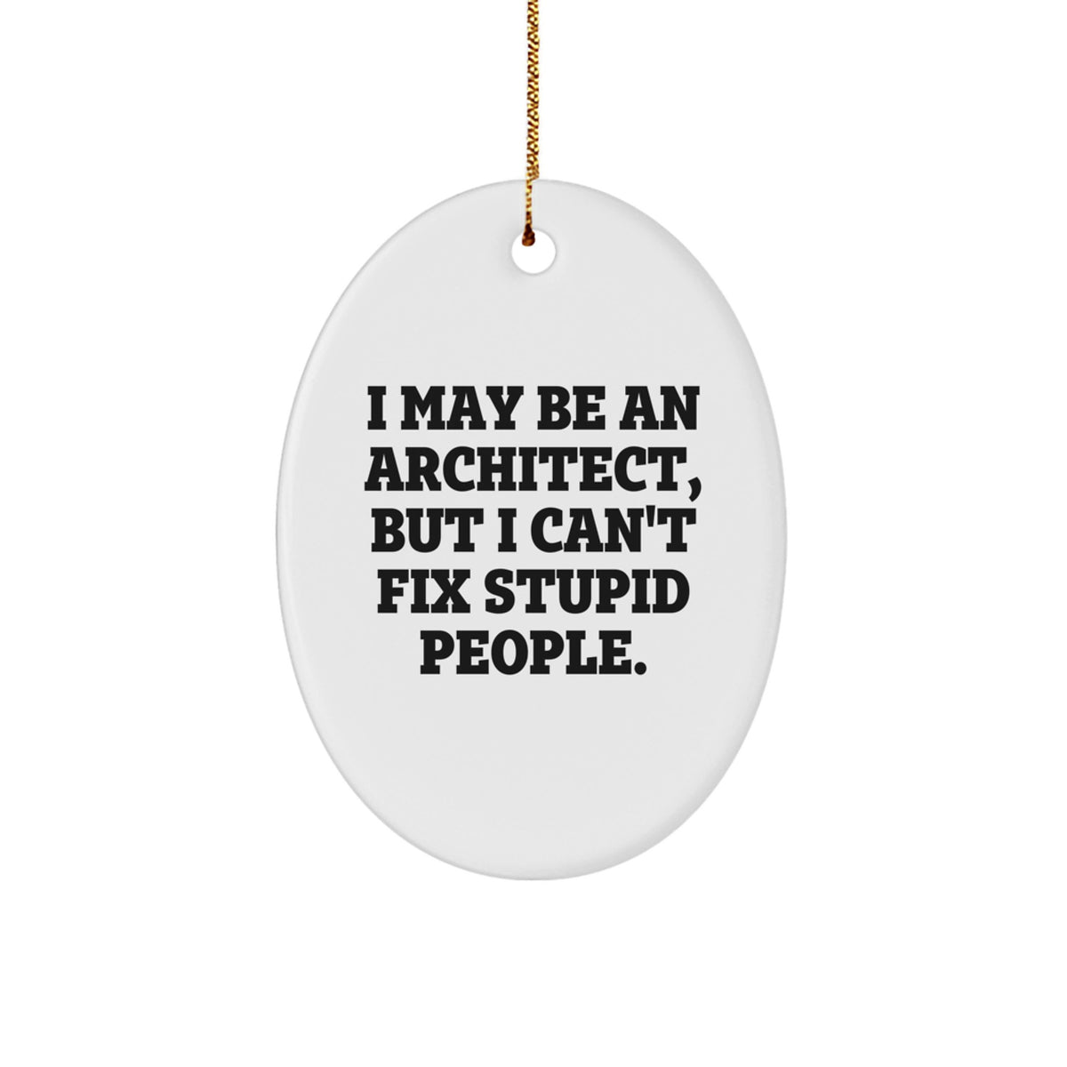 Funny Architect Oval Ornament Gifts from Friends and Family, I May Be An Architect, But I Can't Fix Stupid People., Christmas Unique Gifts for Men and Women - Image 1