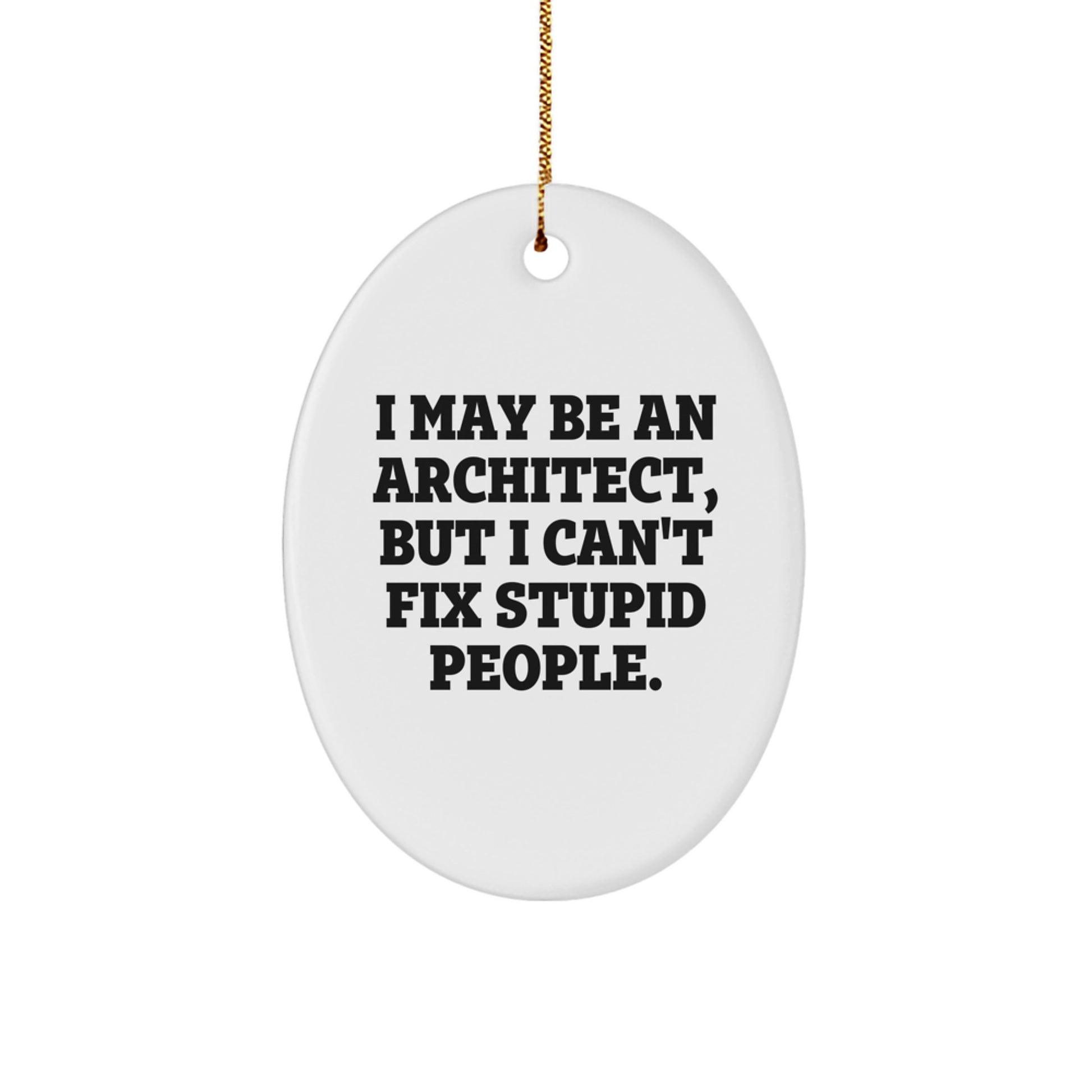 Funny Architect Oval Ornament Gifts from Friends and Family, I May Be An Architect, But I Can't Fix Stupid People., Christmas Unique Gifts for Men and Women - Image 1