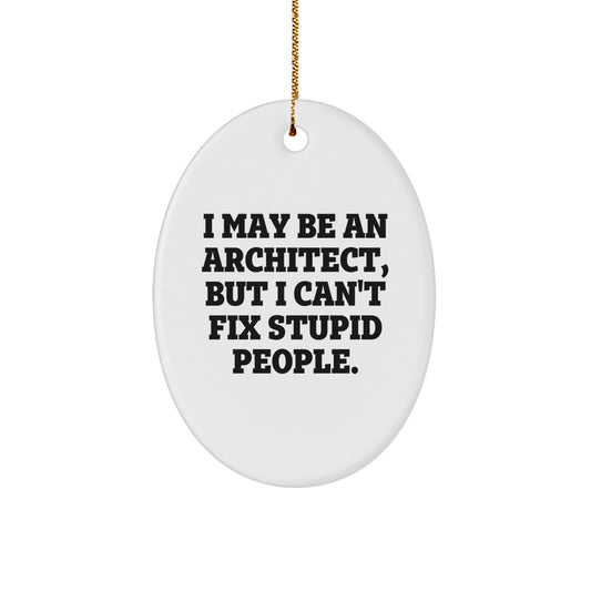 Funny Architect Oval Ornament Gifts from Friends and Family, I May Be An Architect, But I Can't Fix Stupid People., Christmas Unique Gifts for Men and Women - Image 1