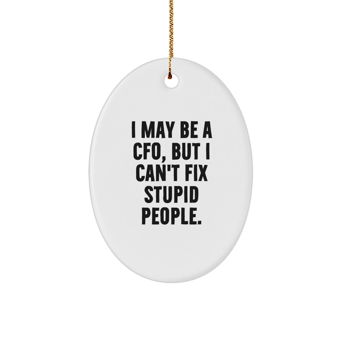 CFO Humor Gifts, I May Be A Cfo, But I Can't Fix Stupid People., Oval Ornament Gifts for CFOs, Funny Christmas Unique Gifts from Friends to Coworkers - Image 1