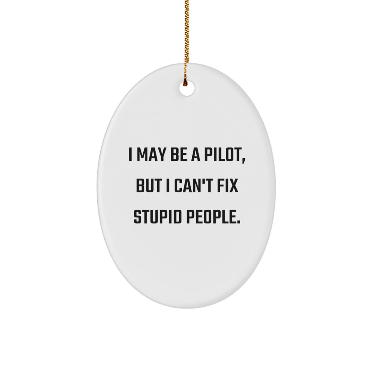 Pilot Gifts from Men to Friends, Funny Oval Ornament for Christmas Memorable Presents, I May Be a Pilot, But... - Unique Pilot Mugs, Humorous Pilot Decor - Image 1