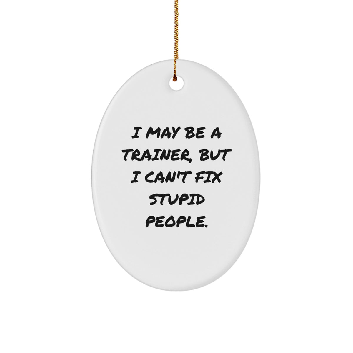 Funny Trainer Gifts: Oval Ornament I May Be A Trainer, But I Can't Fix Stupid People., Gifts from Friends for Trainer, Christmas Unique Gifts - Image 1