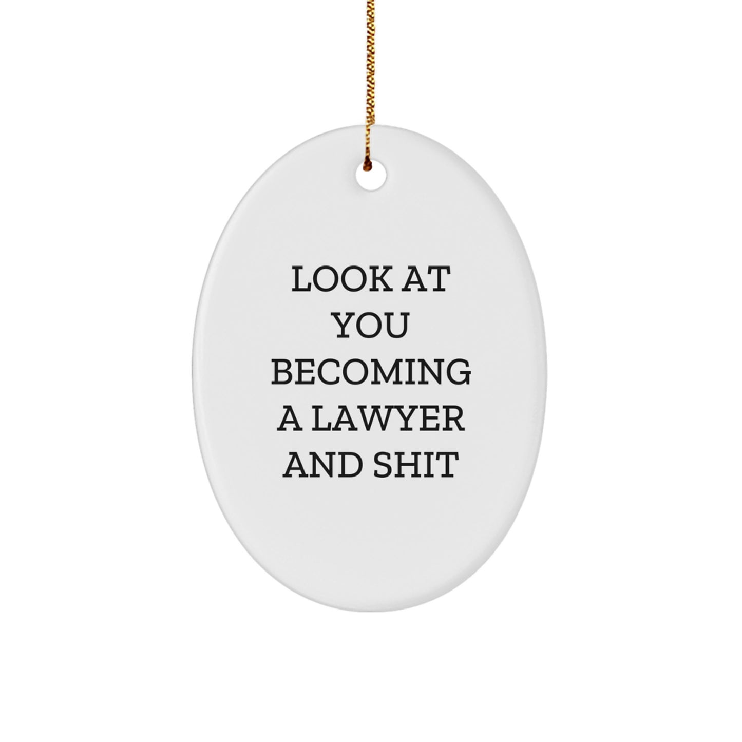 Funny Lawyer Gifts for Men, Oval Ornament with Look At You Becoming A Lawyer And Shit Quote, Christmas Unique Gifts from Friends to Family - Image 1