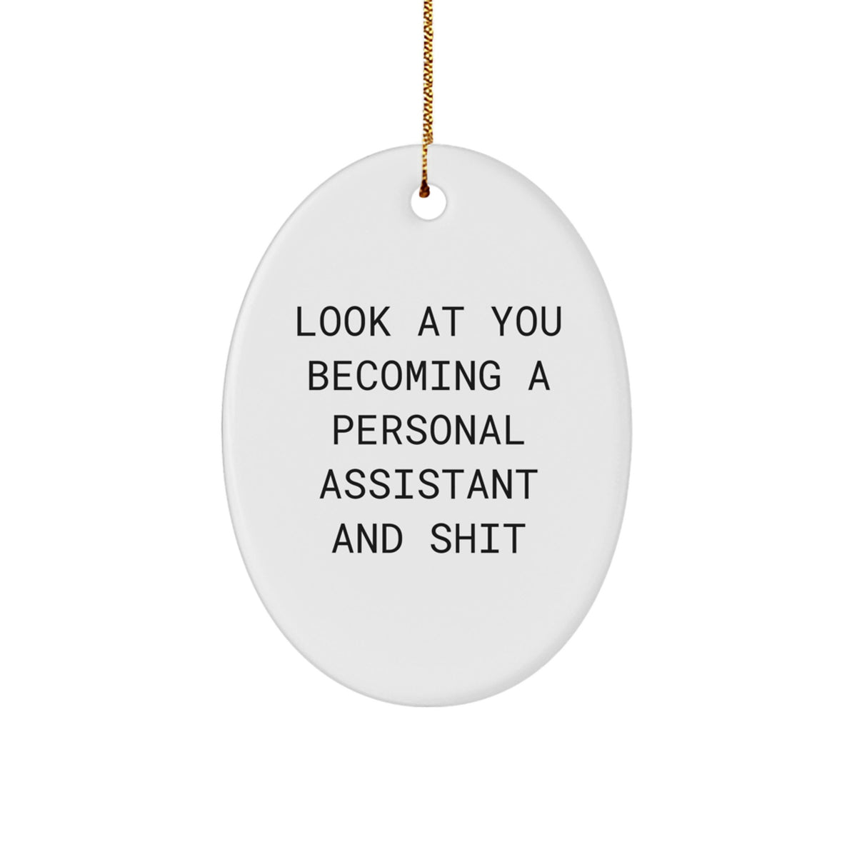 Funny Personal Assistant Oval Ornament Gifts from Friends for Christmas Unique Presents - Image 1