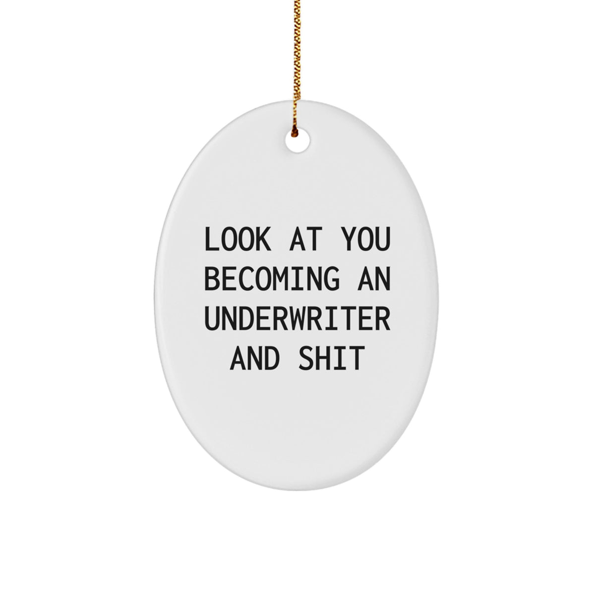 Funny Underwriter Gifts for Him - Oval Ornament for Men, Friends, Coworkers, Family - Look At You Becoming An Underwriter And Shit Christmas Unique Decorations - Image 1