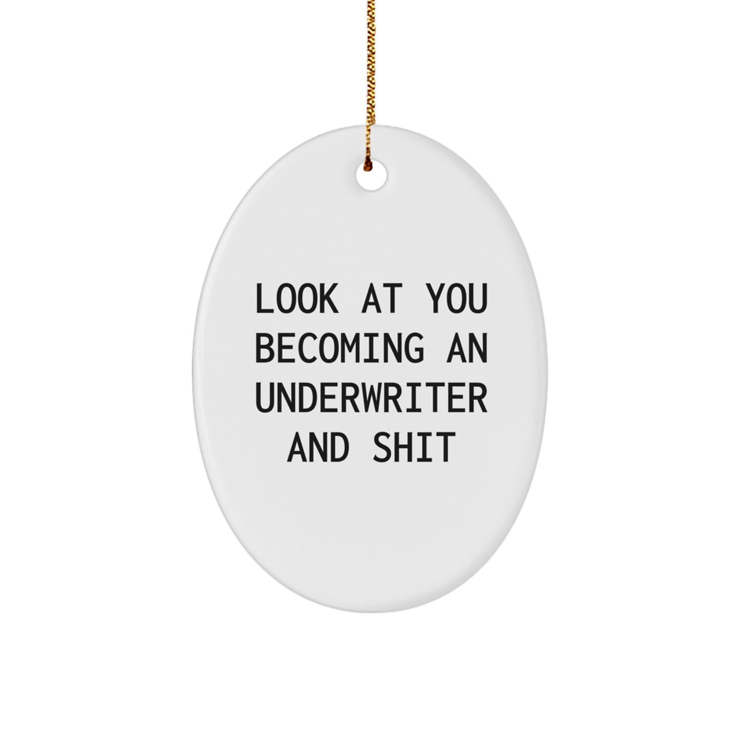 Funny Underwriter Gifts for Him - Oval Ornament for Men, Friends, Coworkers, Family - Look At You Becoming An Underwriter And Shit Christmas Unique Decorations - Image 1