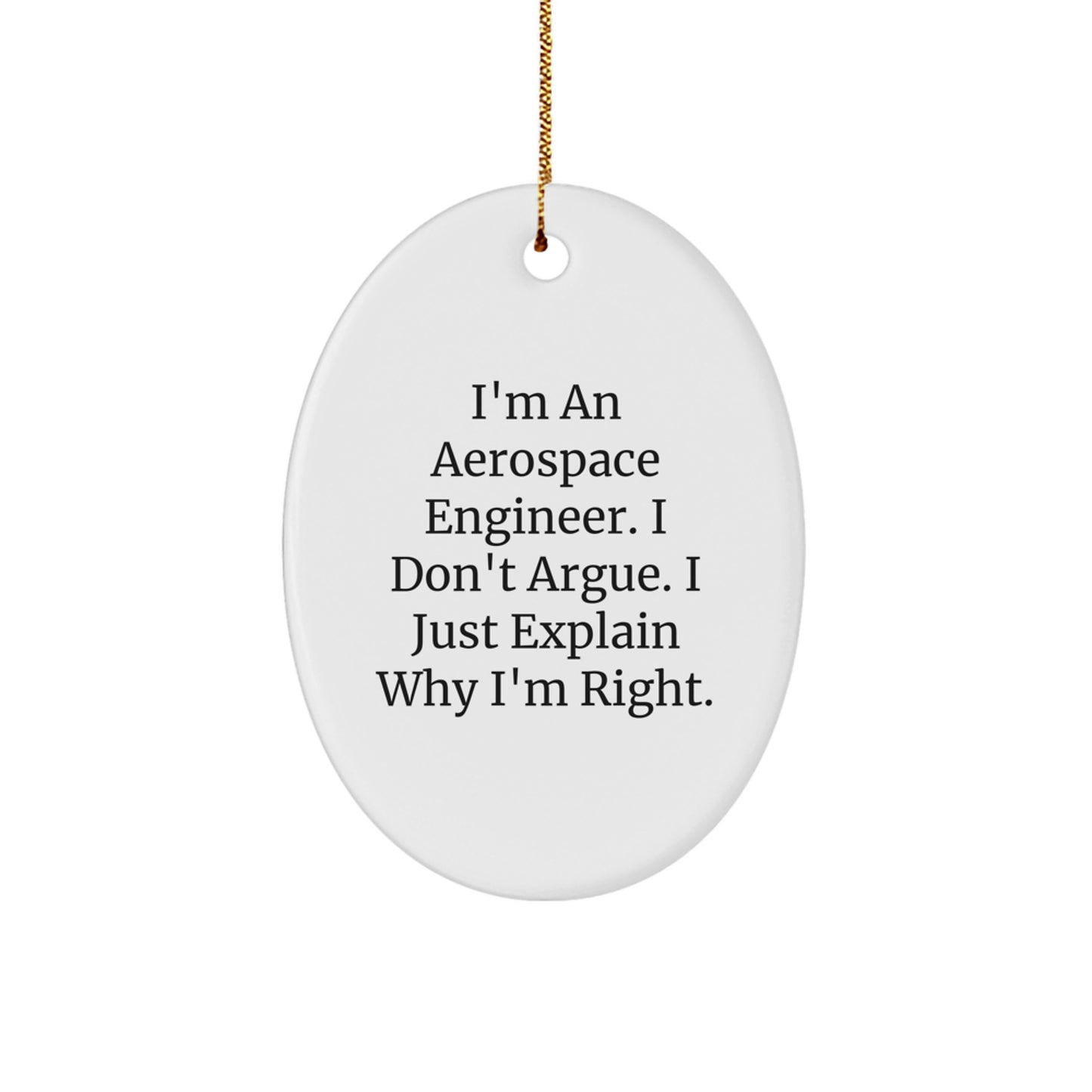 Aerospace Engineer Gifts, Funny Quote Oval Ornament for Christmas from Friends, Gifts for Aerospace Engineer, Unique Men's Gifts - Image 1