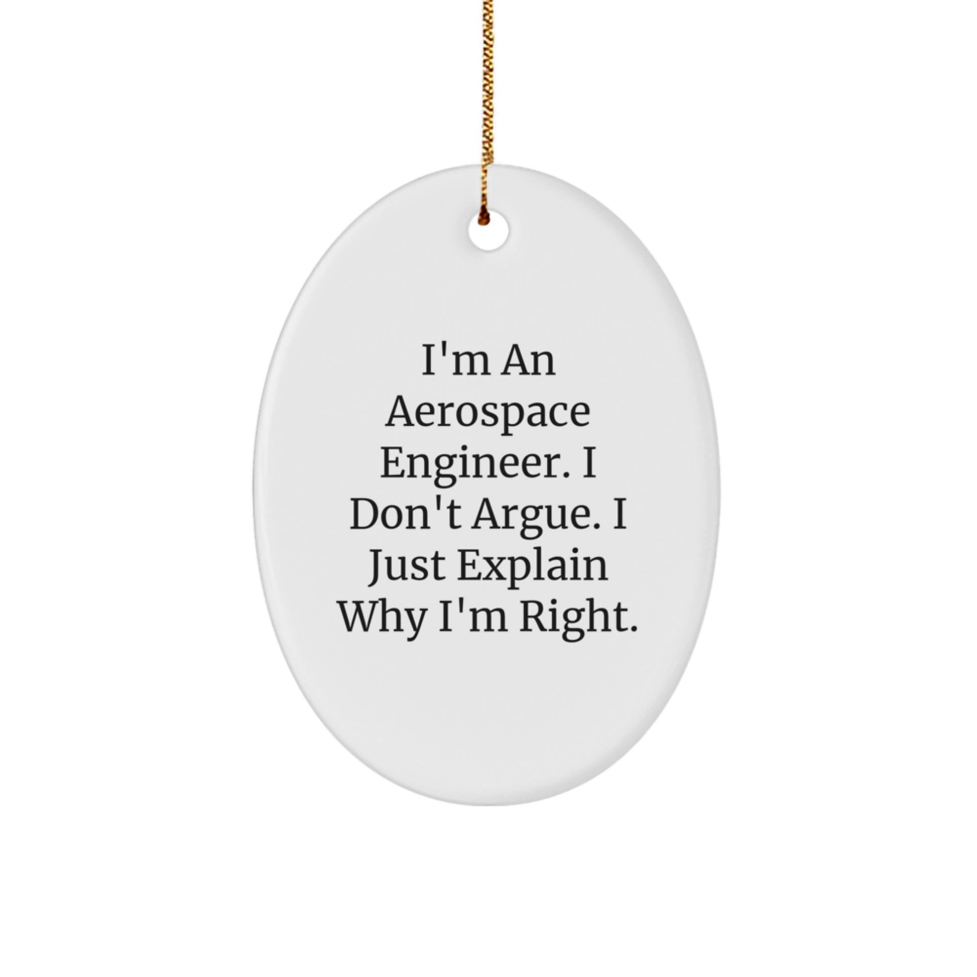 Aerospace Engineer Gifts, Funny Quote Oval Ornament for Christmas from Friends, Gifts for Aerospace Engineer, Unique Men's Gifts - Image 1