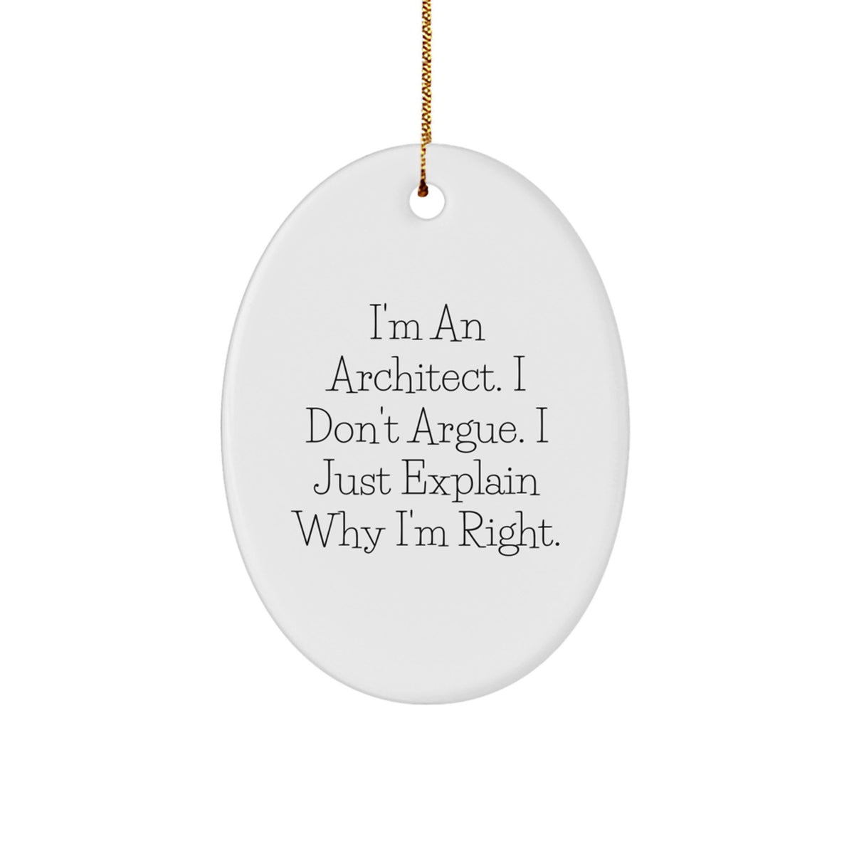 Funny Architect Gifts for Men, Oval Ornament from Friends, Perfect for Christmas Unique Presents - Image 1