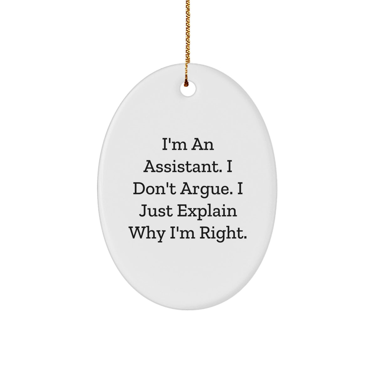 Funny Assistant Oval Ornament Gifts from Friends for Christmas Unique - Image 1