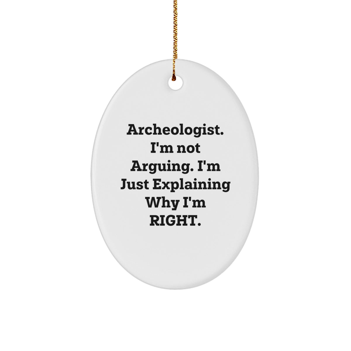 Gifts from Friends for Archeologists - Oval Ornament with Funny Quote, Perfect Christmas Unique Gift for Men, Women, and Coworkers - Image 1