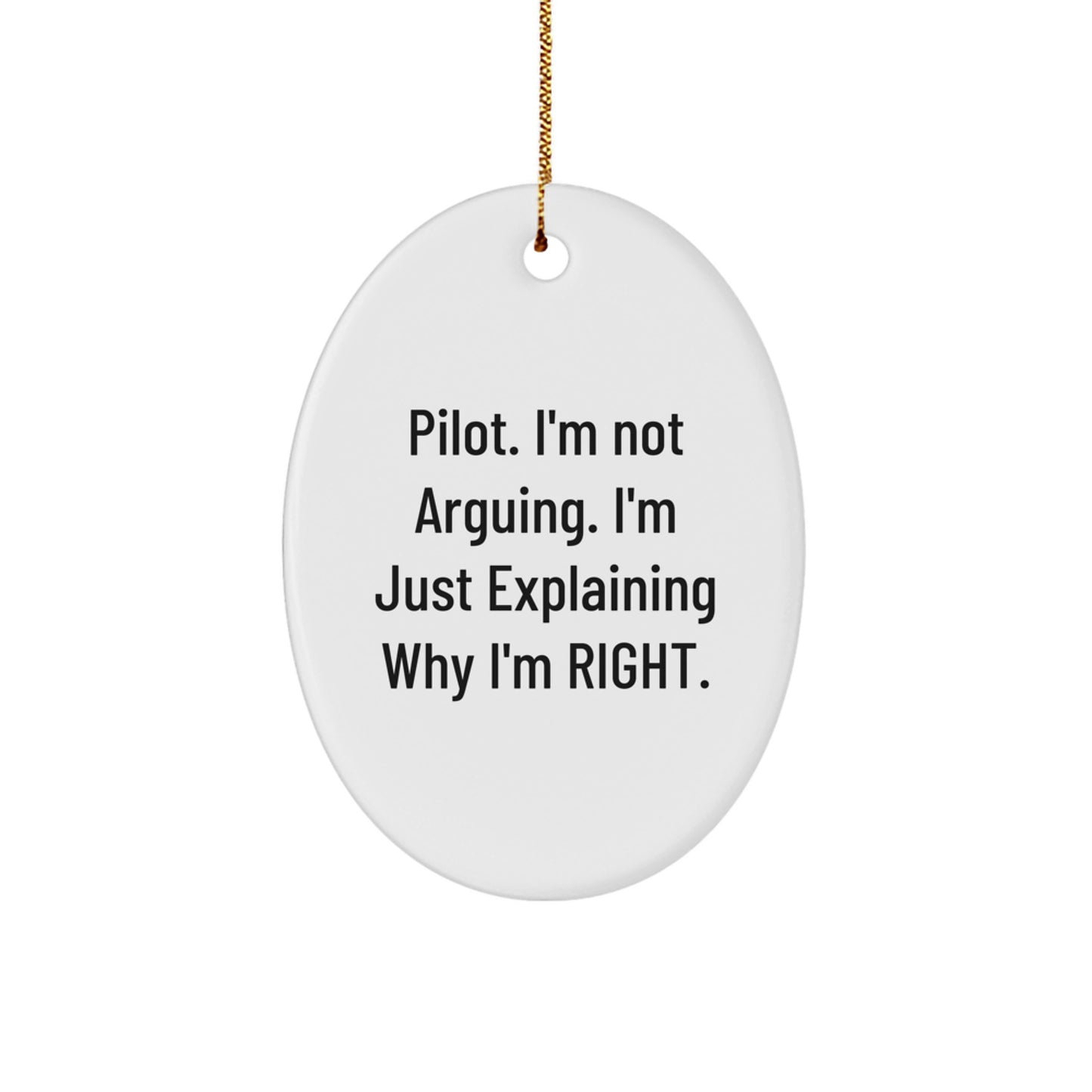 Pilot Gifts from Friends, Pilot Oval Ornament with Funny Quote, Christmas Unique Presents for Pilots - Image 1