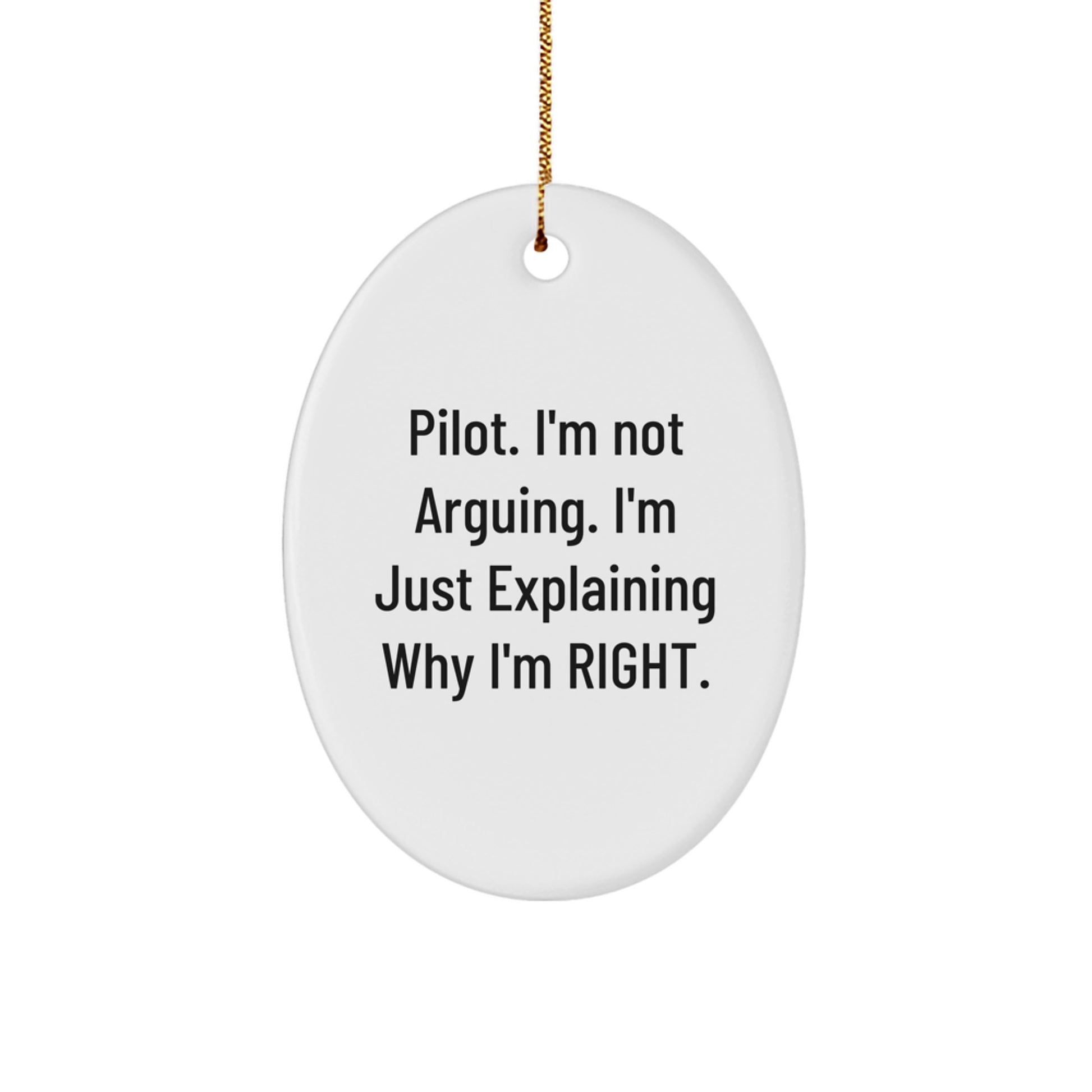 Pilot Gifts from Friends, Pilot Oval Ornament with Funny Quote, Christmas Unique Presents for Pilots - Image 1