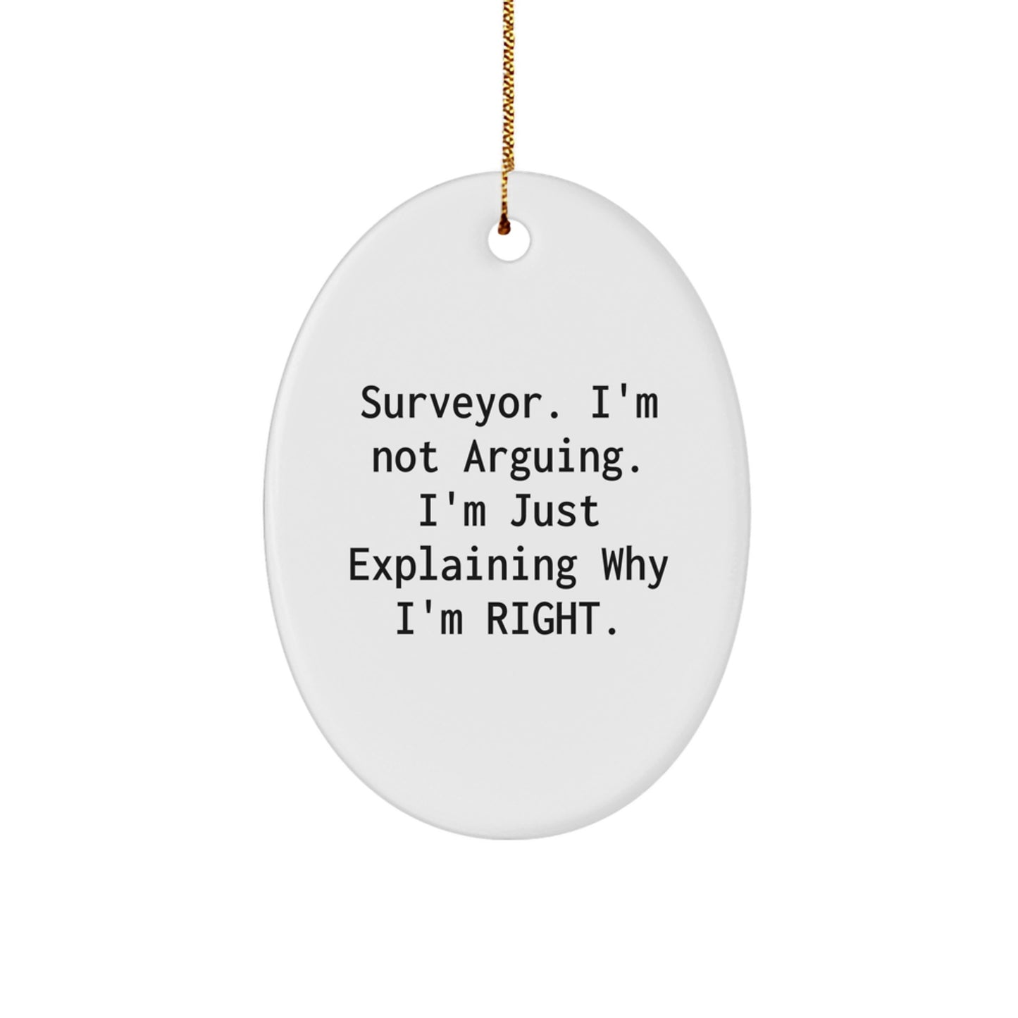 Funny Surveyor Gifts for Men, Christmas Unique Gifts from Friends to Surveyor, Oval Ornament 'I'm Not Arguing' Decor - Image 1