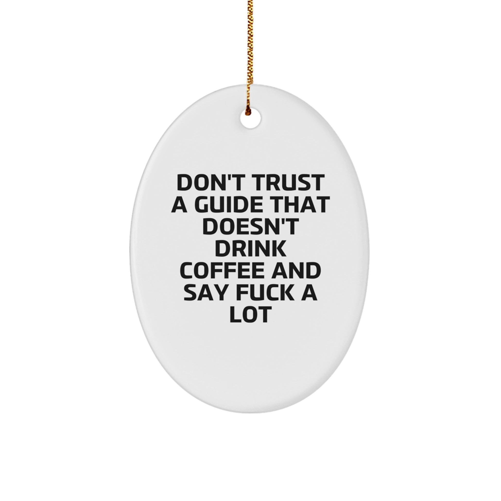 Funny Guide Oval Ornament Gifts from Men to Guide Lovers at Christmas Unique Gifts - Image 1