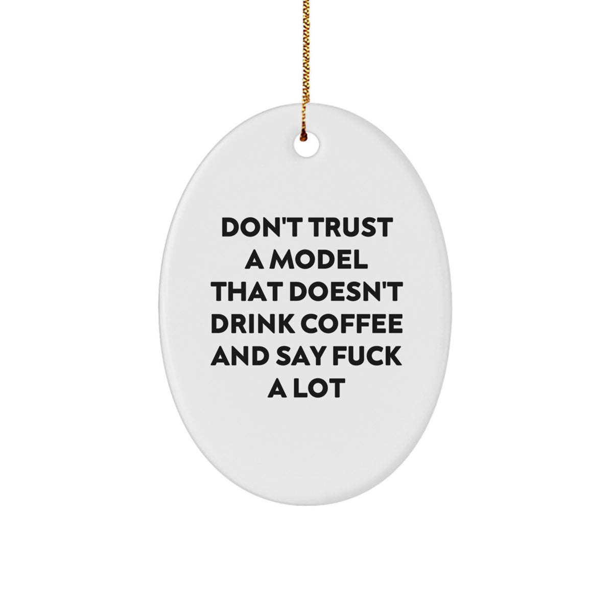 Funny Christmas Oval Ornament Gifts for Model Enthusiasts from Friends, Unique Model Decorations for Men or Women - Image 1